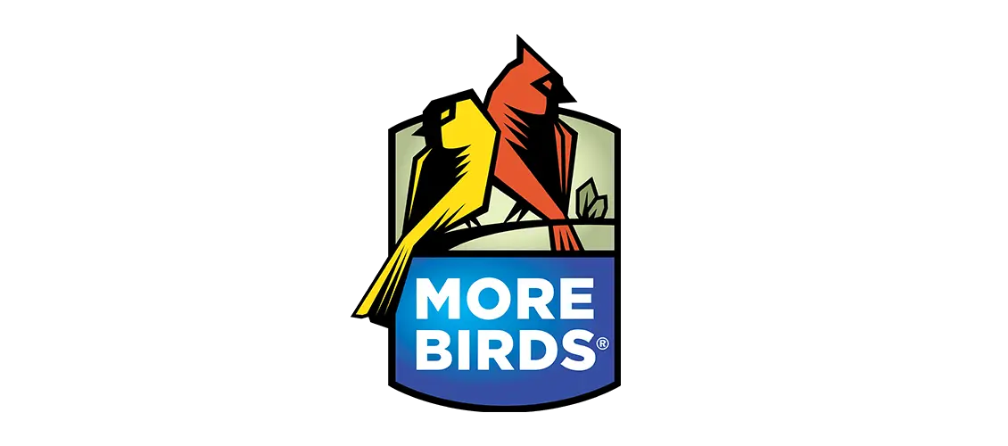 More Birds