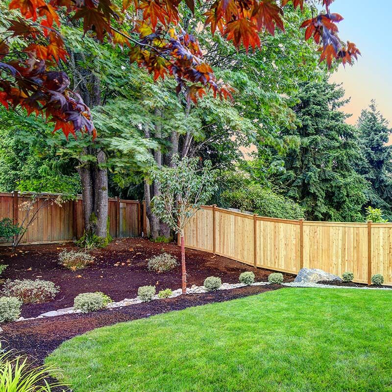Trees & Shrubs - Home Garden