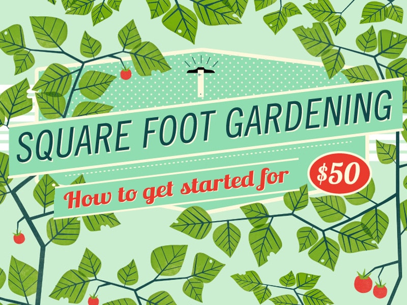 How to Get Started on Square Gardening (Infographic)