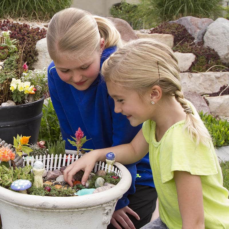 Garden Decor