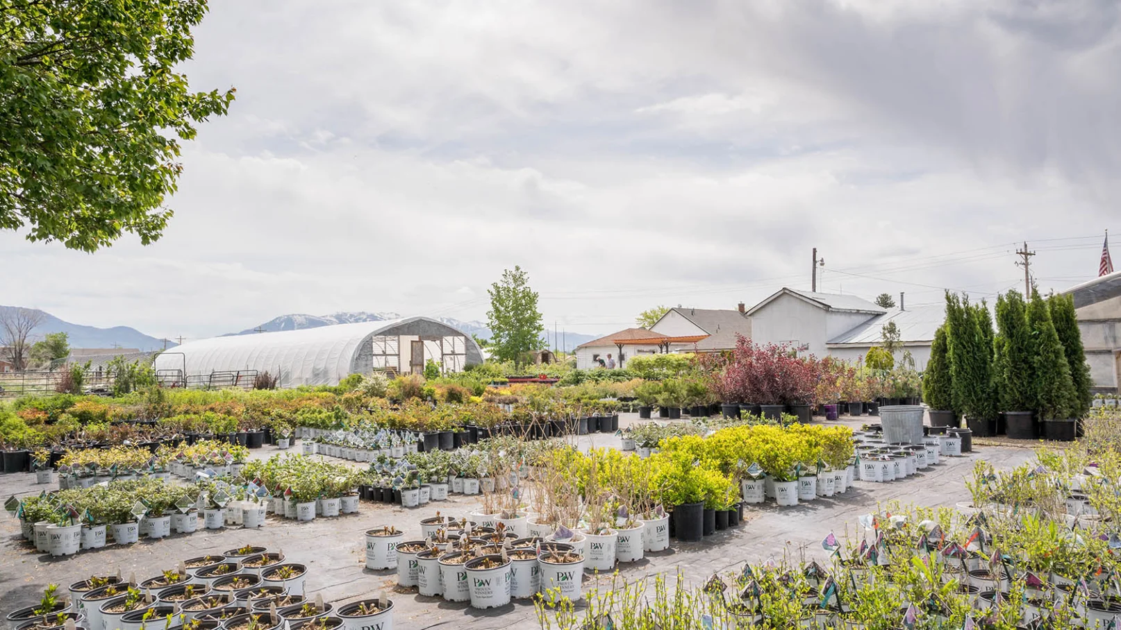 Country Gardens Nursery - Spring 2022